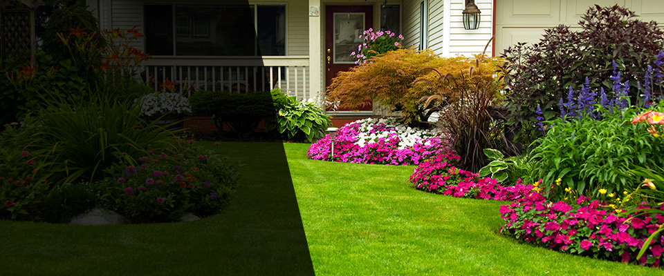 Lockhart Landscapers