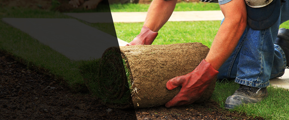 Lockhart Landscapers